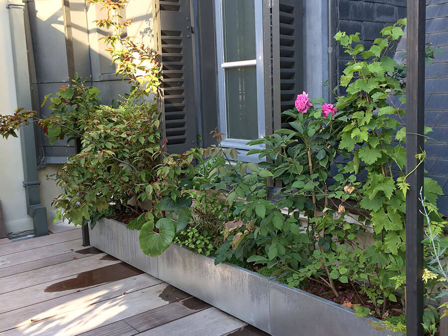 Aménagement d’une terrasse avec jardinières