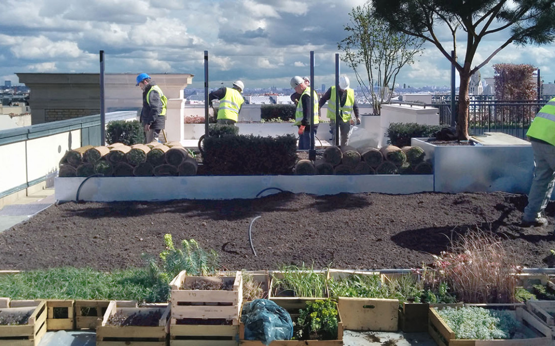 Jardin terrasse et patio en chantier à Paris