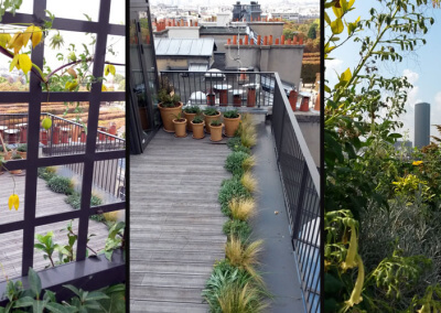 Terrasse et jardin sur le toit