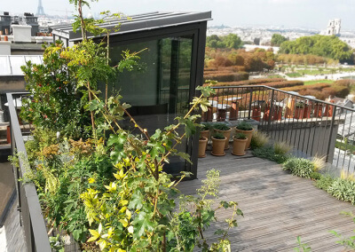 Terrasse et jardin sur le toit