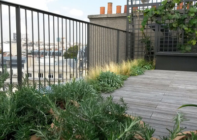 Terrasse et jardin sur le toit