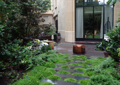 Création d’un jardin d’ombre à Paris