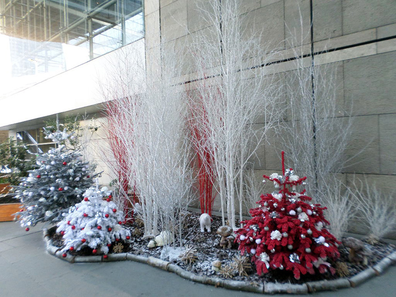 Décoration Noël  Jardins de l'Orangerie