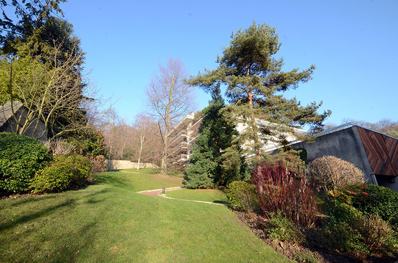 Entretien des espaces verts d’une résidence à Montmorency