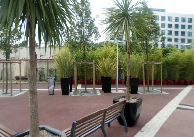 Aménagement végétal à l’Ecole de formation au Barreau à Issy-les-Moulineaux