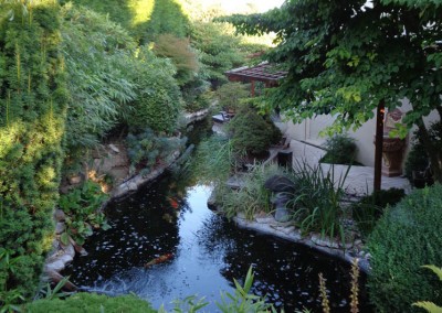 Entretien d’un jardin luxuriant, avec bassin