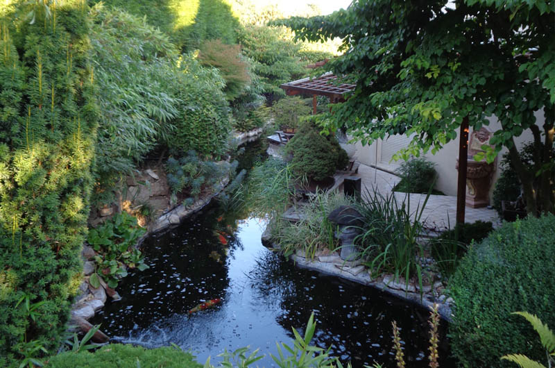 Entretien d’un jardin luxuriant, avec bassin