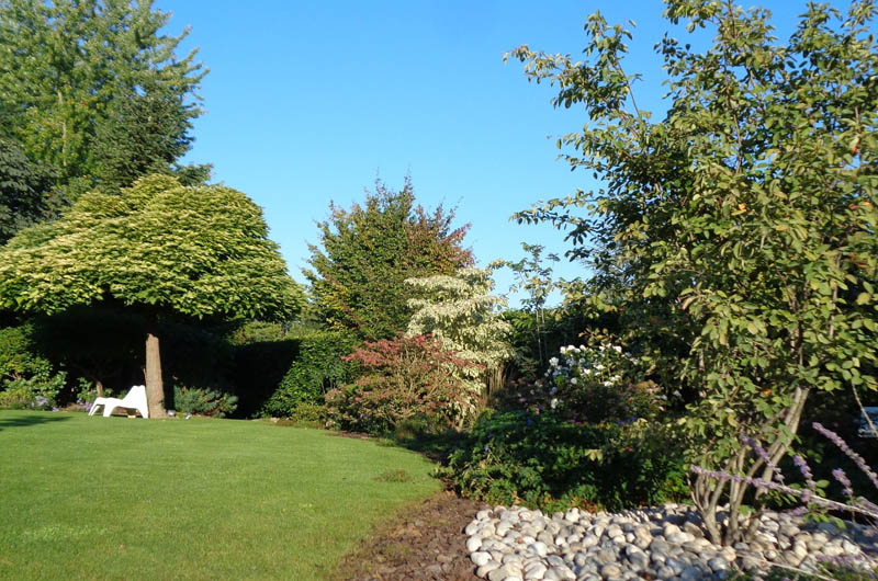 Entretien d’un jardin et taille d’arbres