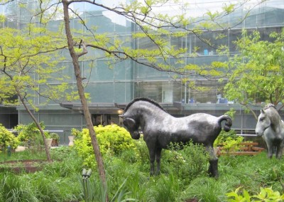 Entretien du jardin d’un siège d’assurance – Paris