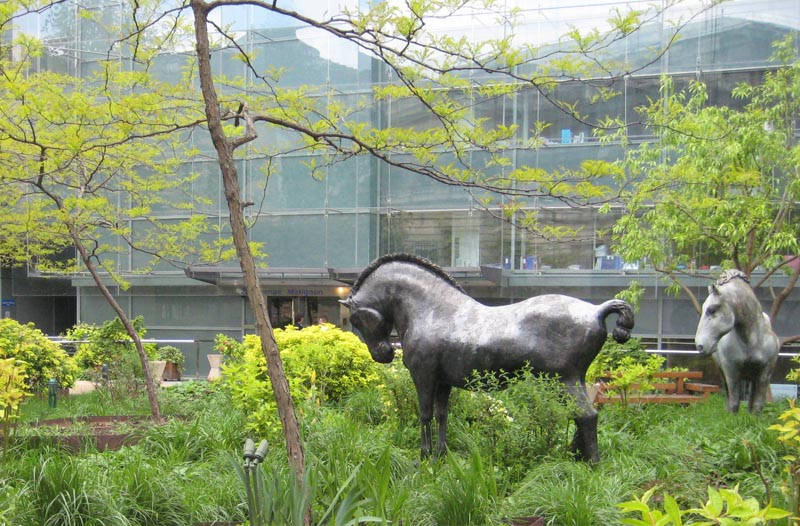 Entretien du jardin d’un siège d’assurance – Paris