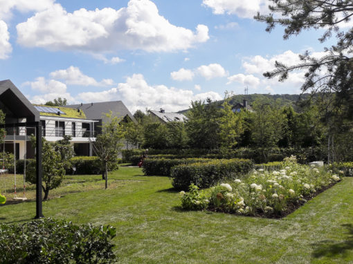 Réalisation d’un jardin en pleine terre au Luxembourg