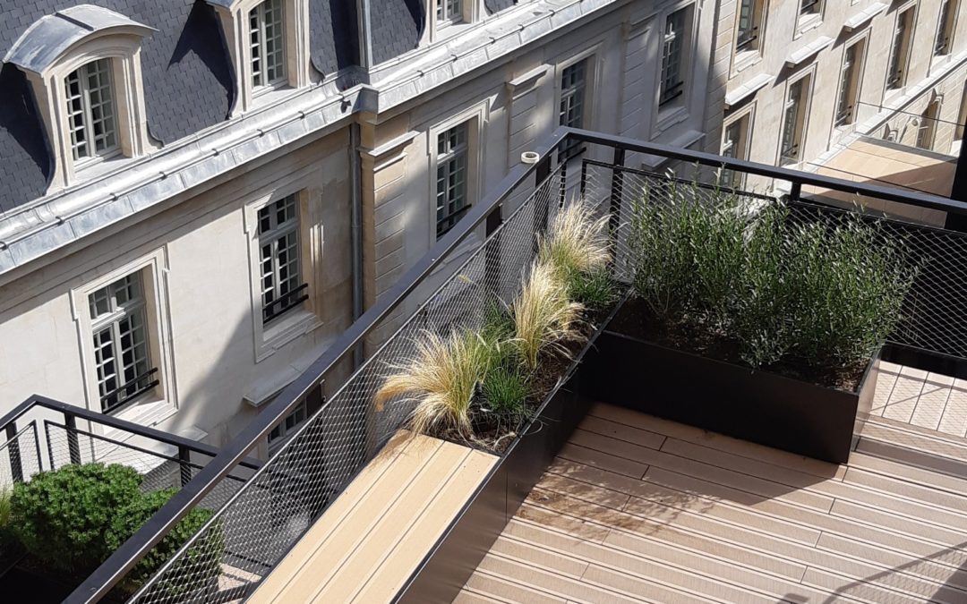 Réalisation d’un jardin RDC et terrasses pour un immeuble de bureaux / 75008 PARIS