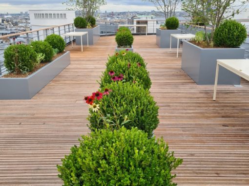 Aménagement des terrasses et patios suite à la réhabilitation d’un immeuble de Bureau / Rue de Madrid – 75008