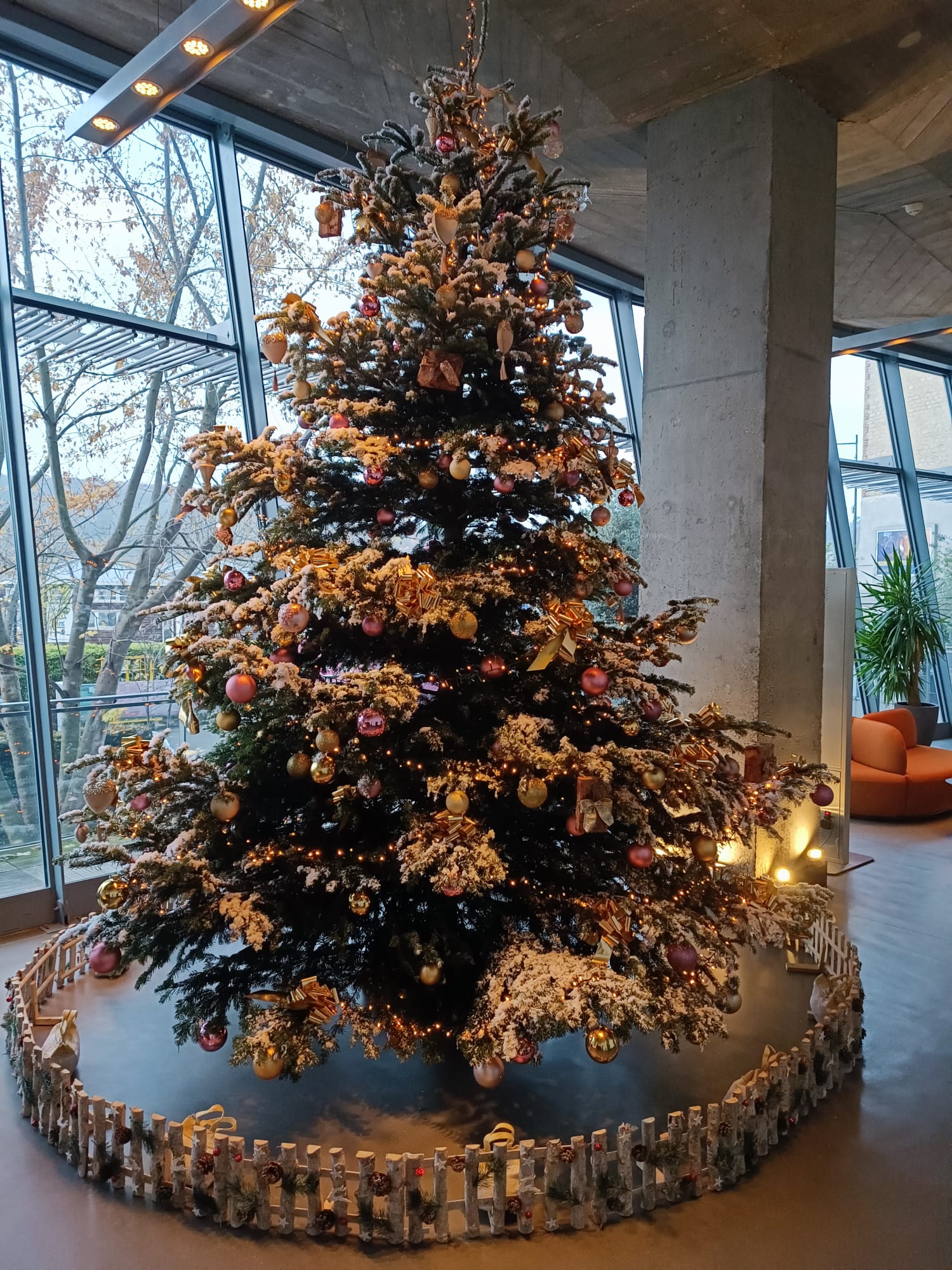 Décoration Noël  Jardins de l'Orangerie