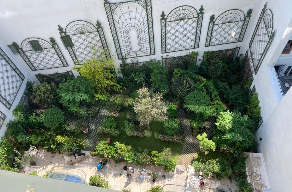 Aménagement d’un du jardin et des terrasses de l’Hôtel de la Fantaisie – 24 rue Cadet 75009 PARIS